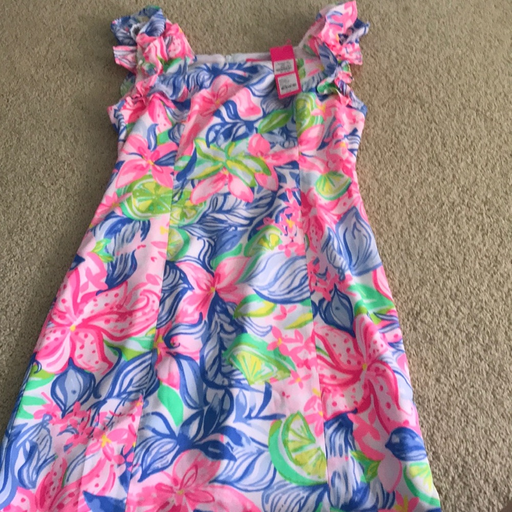 COPY - Lilly Pulitzer dress